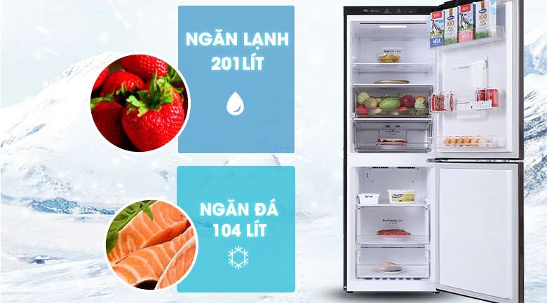 Tủ lạnh LG Inverter 305 lít GR-D305MC - Dung tích