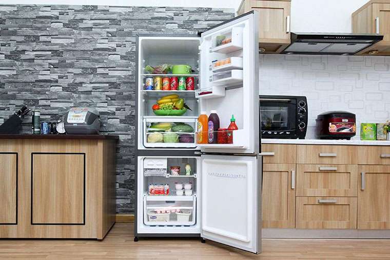 Tủ lạnh Electrolux EBB2600PA 252 lít