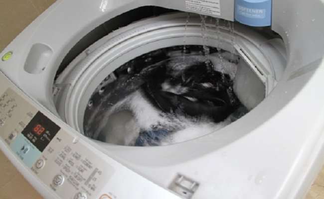 Máy giặt samsung không vắt được