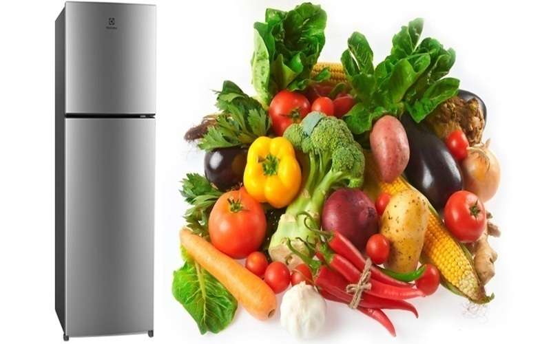 Tủ lạnh Electrolux ETB2102MG giữ cho thực phẩm luôn tươi ngon như mới mua