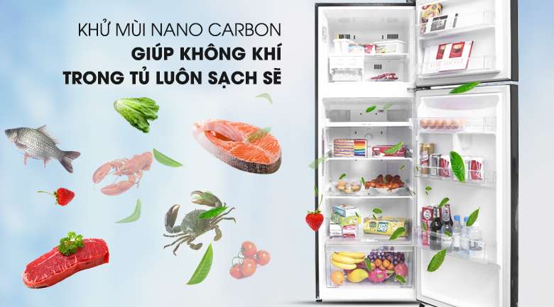 Bảo vệ sức khỏe với bộ lọc Nano Cacbon - Tủ lạnh LG Inverter 315 lít GN-L315PN