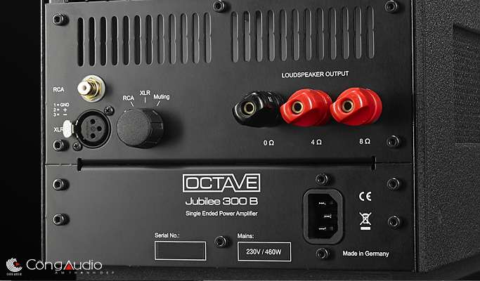 Octave Jubilee 300B đã xử lý được vấn đề độ động, có thể ghép với hầu hết các loại loa