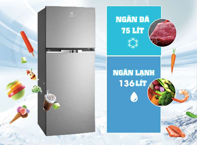 Tủ lạnh Electrolux ETB2100MG