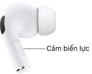 Vị trí của Cảm biến lực trên AirPods Pro, nằm ở đầu trên của thân tai nghe khi AirPods được đeo trong tai.