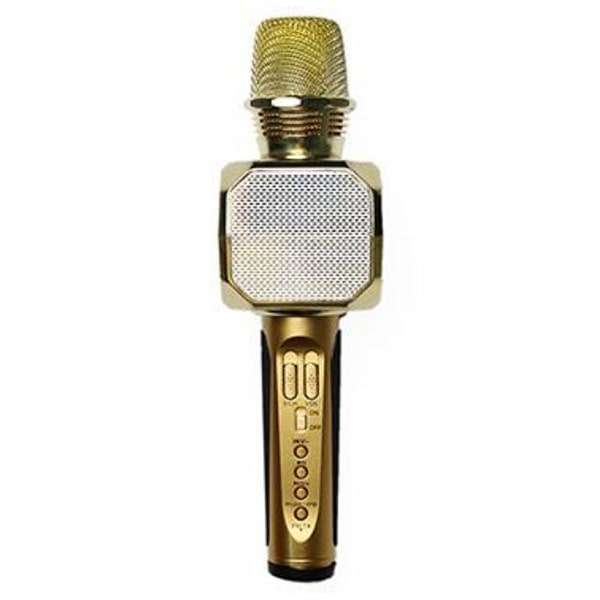 Micro karaoke SD - 10