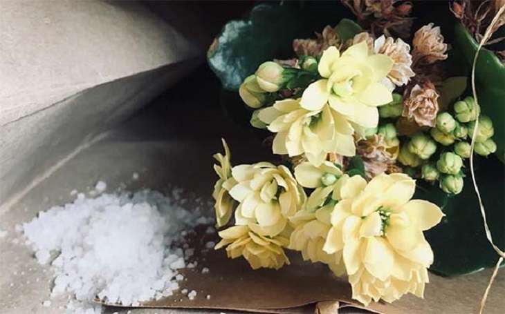 Làm sạch hoa giả với muối hạt