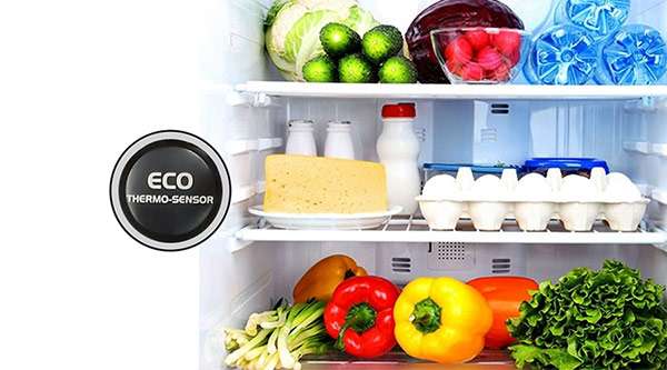 Eco Thermo-Sensor Tủ lạnh Hitachi có tốt không