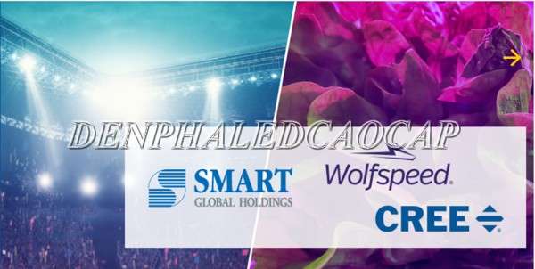 Cree| Wolfspeed là công ty LED chip cao cấp