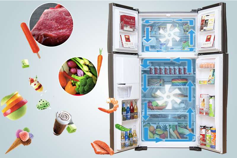 Hệ thống quạt kép hiện đại trên tủ lạnh R-W660FPGV3X (GBW)
