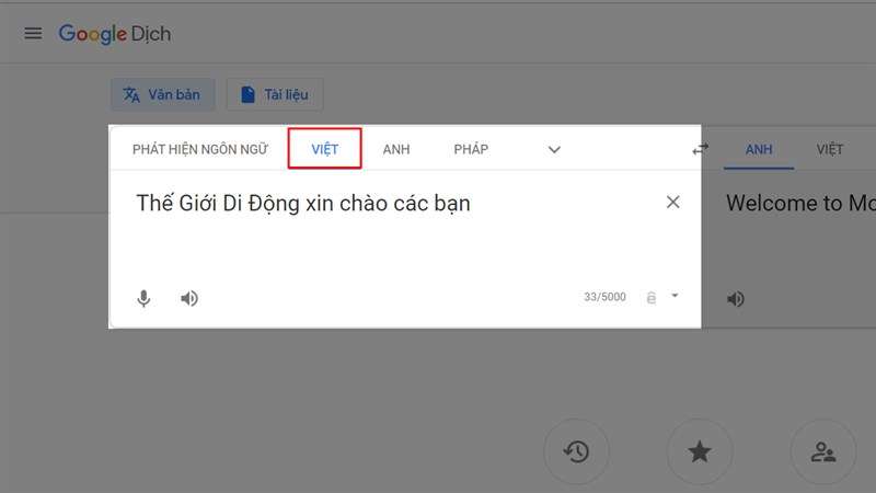 Chuyển sang tiếng Việt và nhập nội dung cần chuyển thành giọng chị Google