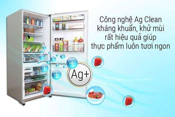 Tủ lạnh Panasonic có tốt không? Công nghệ kháng khuẩn Ag Clean