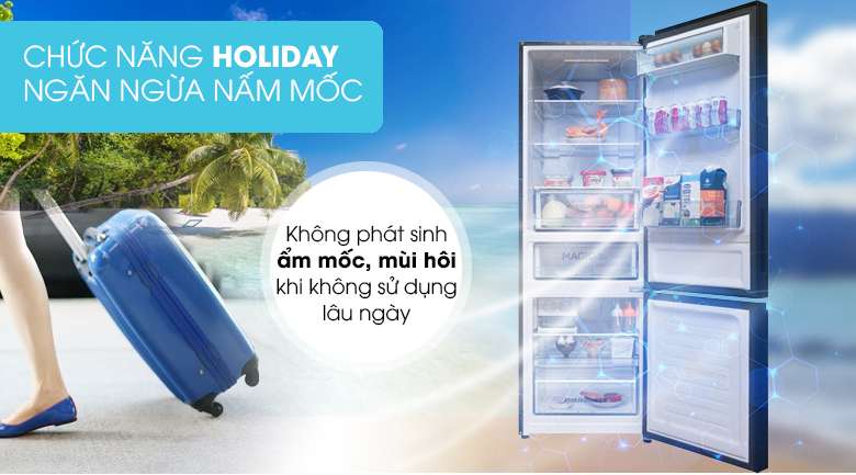 Chức năng Holiday - Tủ lạnh Toshiba Inverter 305 lít GR-AG36VUBZ