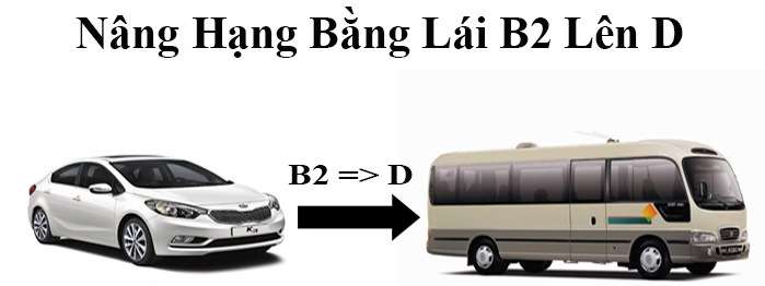 bang-lai-xe-o-to-hang-D-duoc-phep-dieu-khien-xe-nao-lam-sao-de-thi-bang-lai-xe-o-to-hang-D-3.jpg (50 KB)