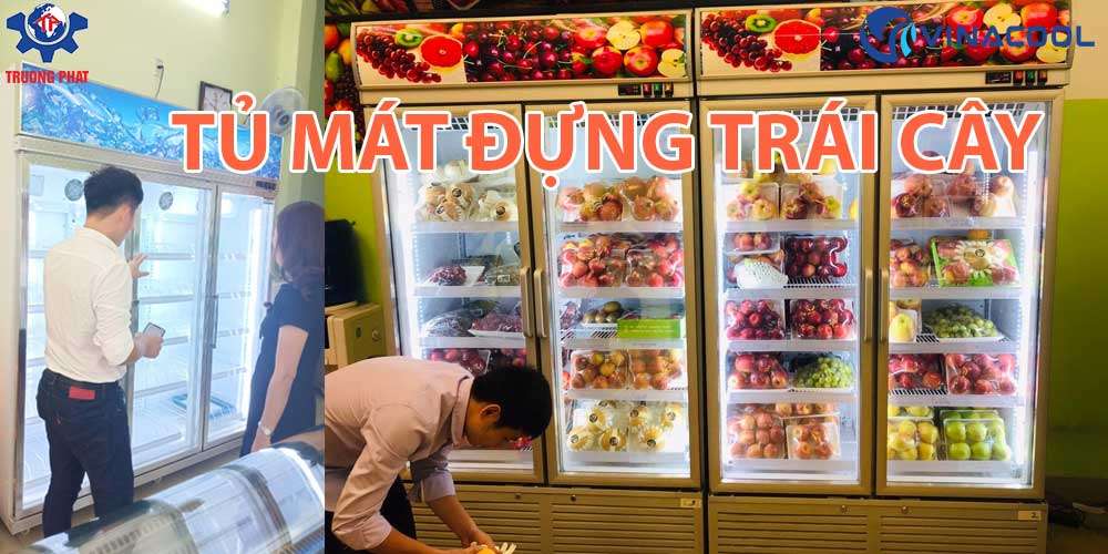 Điểm qua những mẫu tủ mát trưng bày trái cây có giá rẻ nhất