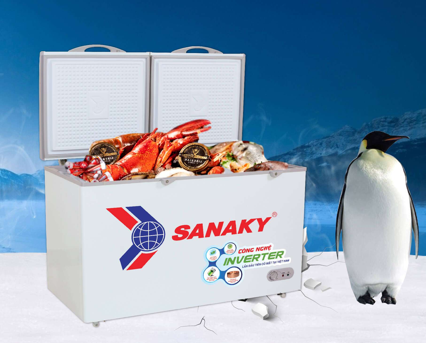 Tủ đông Sanaky giá bao nhiêu? Báo giá tủ đông Sanaky mới nhất