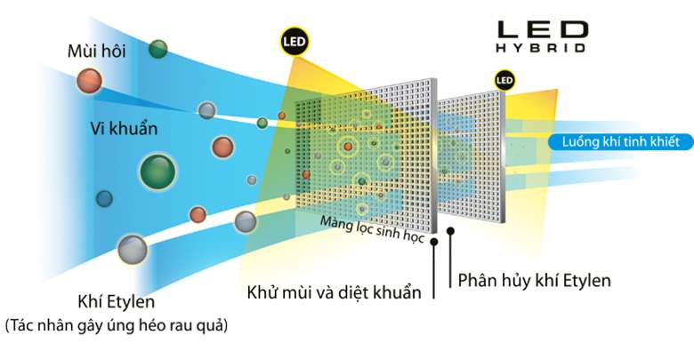 Bộ khử mùi LED Hybrid