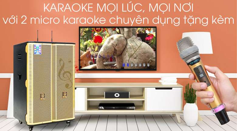 Loa điện Karaoke Birici MX-400 300W - Karaoke