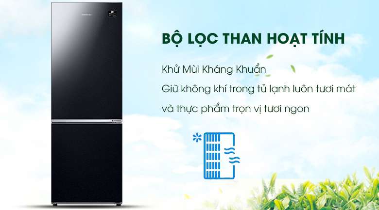 Bộ lọc than hoạt tính - Tủ lạnh Samsung Inverter 310 lít RB30N4010BU/SV