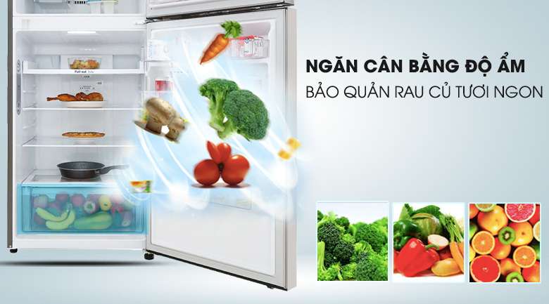 Đánh giá tủ lạnh LG GN-M422PS 2 cánh, 422 Lít