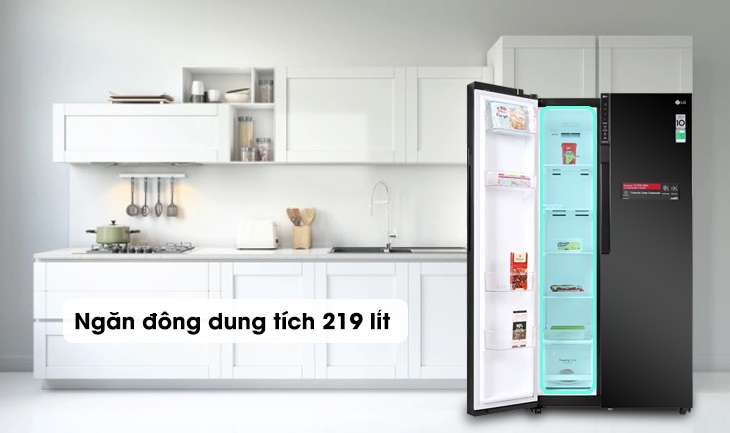 Tủ lạnh LG Inverter 613 lít GR-B247WB - Ngăn đông
