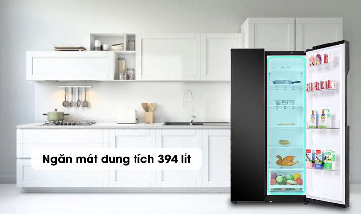 Tủ lạnh LG Inverter 613 lít GR-B247WB - Ngăn mát