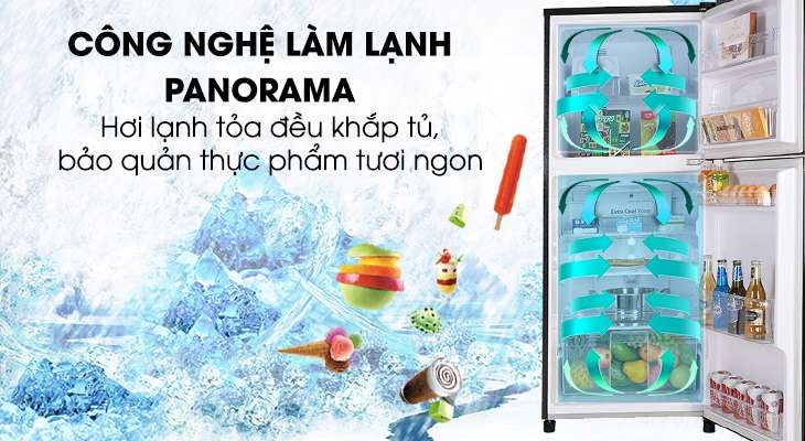  Tủ lạnh Panasonic NR-BL263PKVN - Panorama