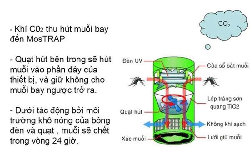 Den Bat Muoi Hoat Dong Nhu The Nao