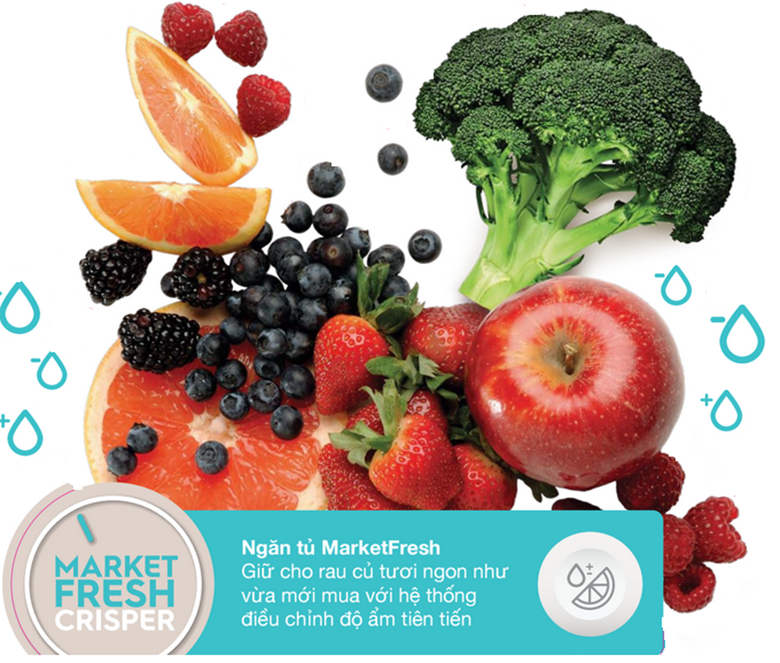 Ngăn rau quả Market Fresh của tủ lạnh Electrolux EBB3500MG đảm bảo cho sự ổn định của độ ẩm
