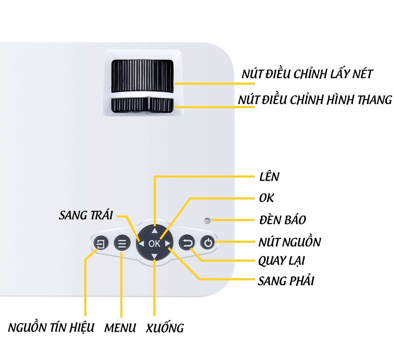 hang tot nhap khau may chieu mini koogold 270820 3