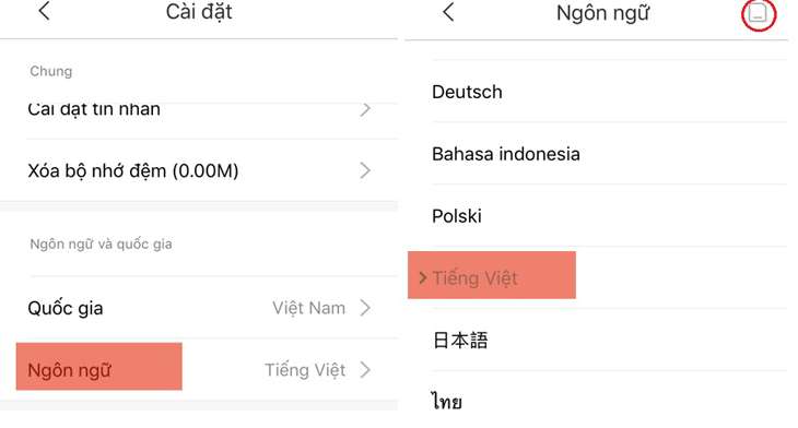 Chọn Ngôn Ngữ, click vào Tiếng Việt