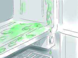 Cách tháo lắp và vận chuyển tủ lạnh khi chuyển nhà