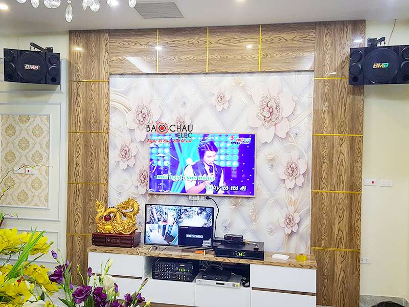 Dàn âm thanh karaoke giải trí gia đình sử dụng loa BMB CSE-312SE