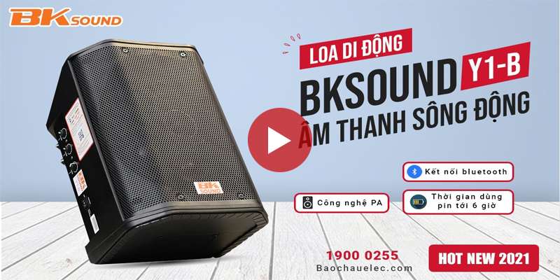 Loa di động BKSound Y1-B