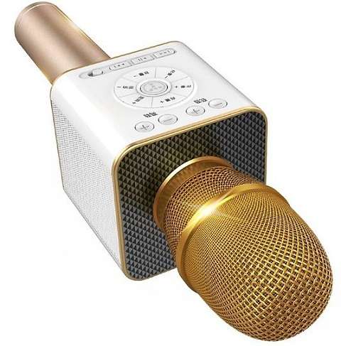 Micro karaoke Bluetooth Tosing