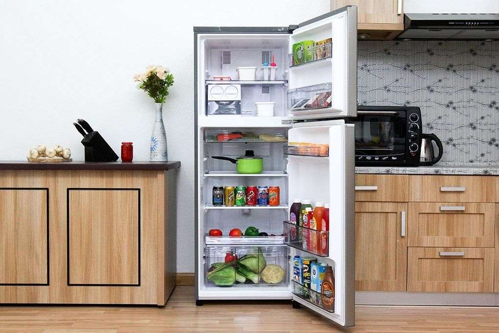 Nên mua tủ lạnh hay tủ đông để bảo quản, dự trữ thực phẩm?
