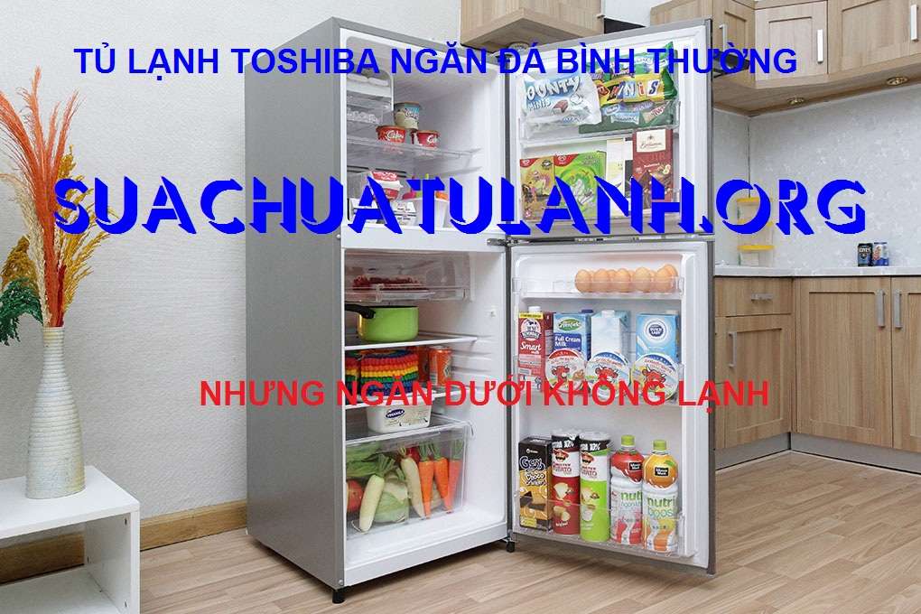 tủ lạnh toshiba ngăn dưới không lạnh