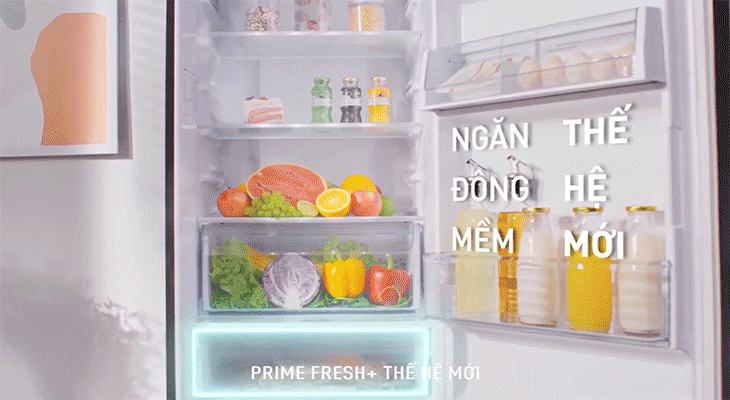 Đánh giá chi tiết tủ lạnh Panasonic NR-BC360QKVN - PrimeFresh +