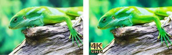 độ phân giải 4k