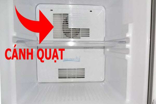 Quạt gió tủ lạnh giá bao nhiêu thay như thế nào