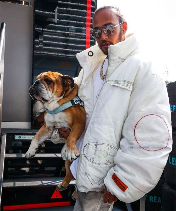 Lewis Hamilton và cún cưng Roscoe đồng hành mọi nơi. Ảnh: Rex