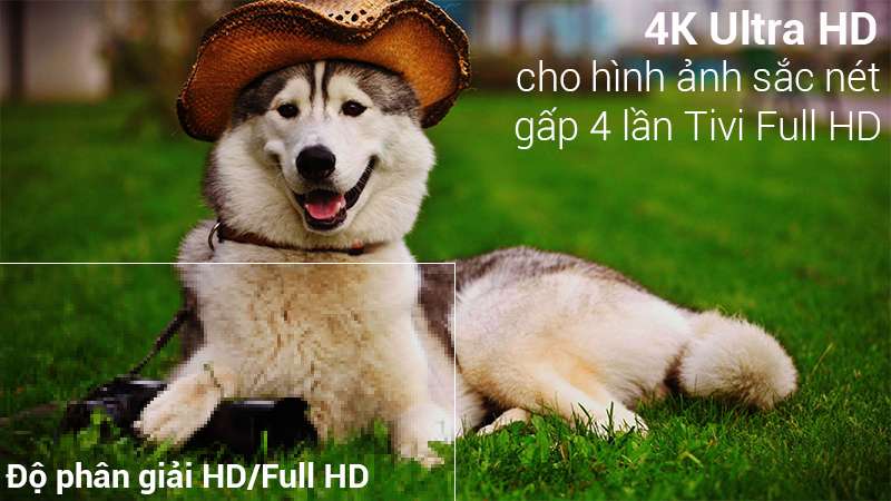 Smart Tivi LG 4K 43 inch 43UK6340PTF 4K Ultra HD