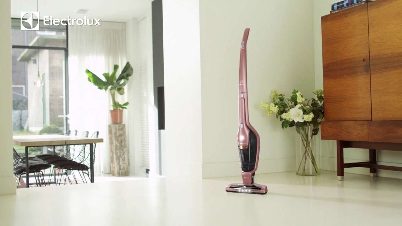 Máy hút bụi gia đình Electrolux