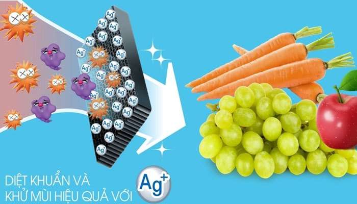Thực phẩm sẽ được tươi ngon nhờ công nghệ Nano Ag+ của tủ lạnh Sharp