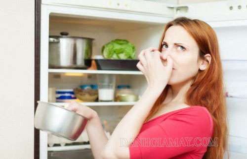 Sửa tủ lạnh bị xì ga bao nhiêu tiền? Biện pháp phòng tránh hiệu quả