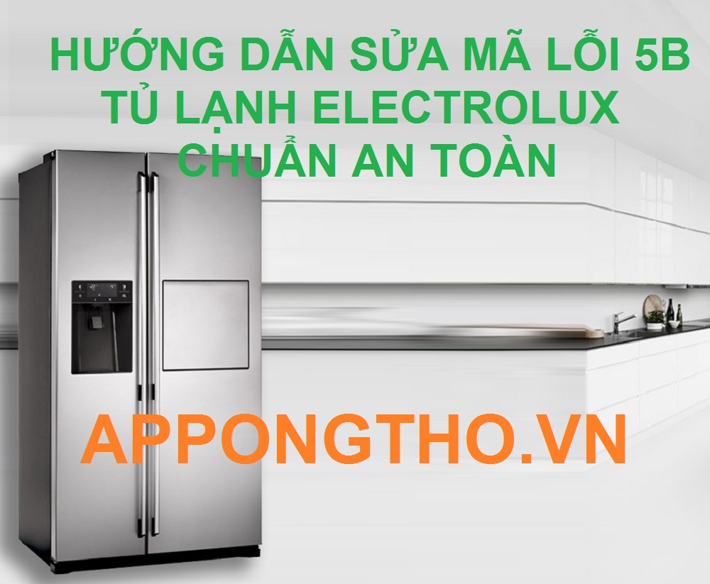 Tủ lạnh Electrolux báo lỗi 5B Hãy cẩn thận với nguy cơ hỏng hóc!