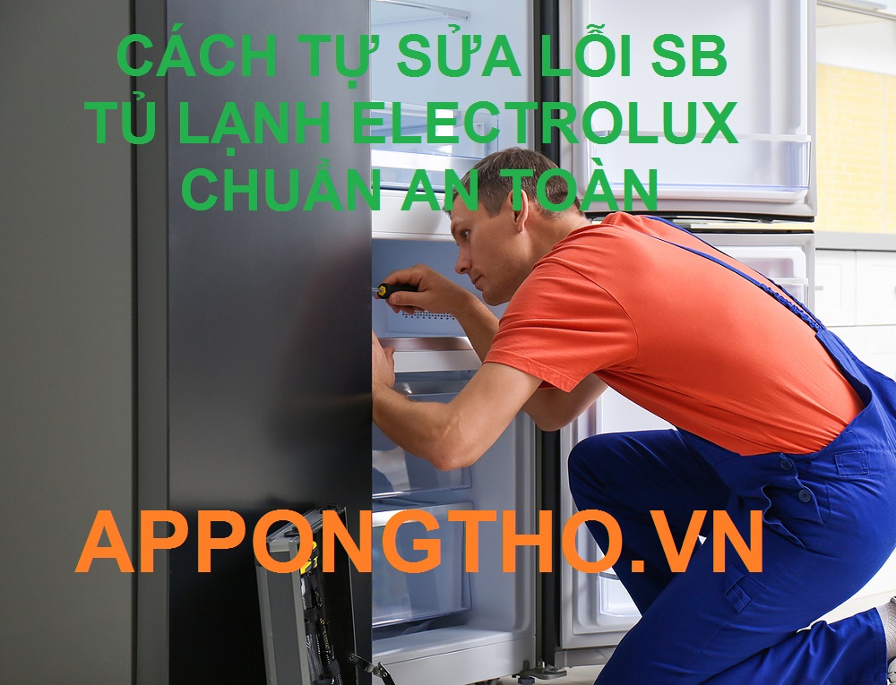 15 Bước Tự Sửa Lỗi SB Tủ Lạnh Electrolux Chuẩn An Toàn