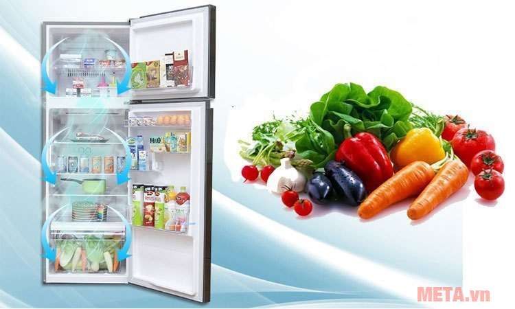Nhiệt độ ở các ngăn của tủ lạnh là khác nhau