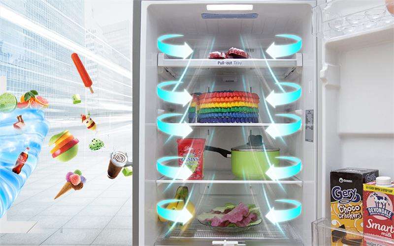 Thực phẩm được làm lạnh đồng nhất với hệ thống khi lạnh đa chiều - Tủ lạnh LG Inverter 209 lít GN-L225S