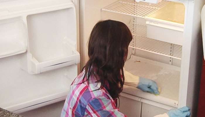 Hãy thường vệ sinh tủ lạnh để không bị hư bộ xả đá