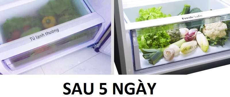 Fresh Safe - Tủ lạnh Panasonic inverter 267 lít NR-BL308PKVN